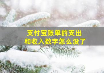 支付宝账单的支出 和收入数字怎么没了